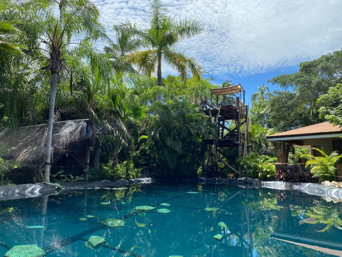 Jardin Secreto Centro Holistico Villa Acapulco Luaran gambar