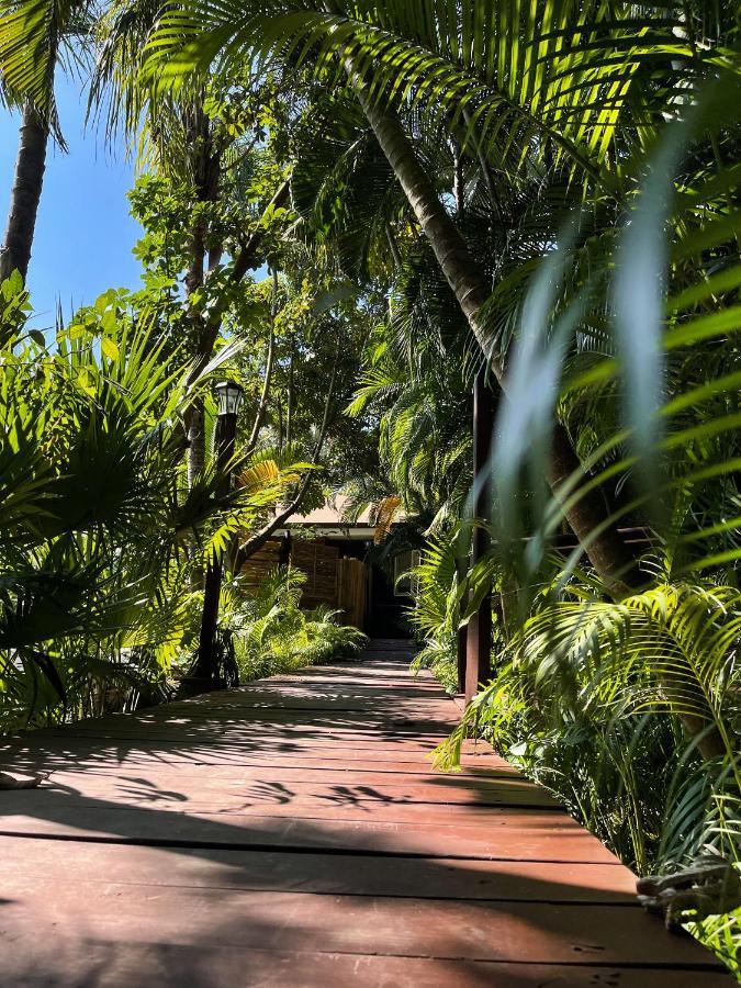 Jardin Secreto Centro Holistico Villa Acapulco Luaran gambar