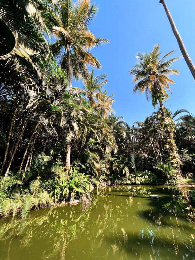 Jardin Secreto Centro Holistico Villa Acapulco Luaran gambar