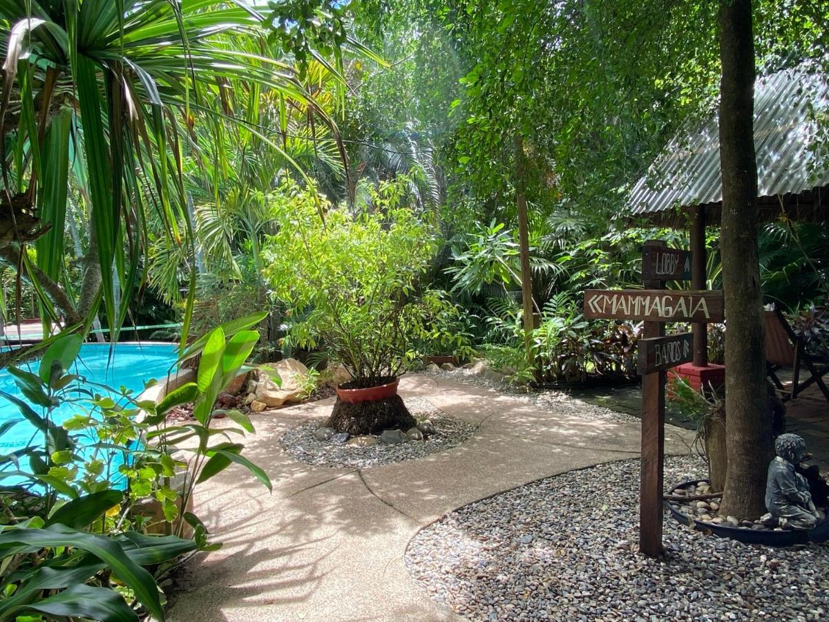 Jardin Secreto Centro Holistico Villa Acapulco Luaran gambar
