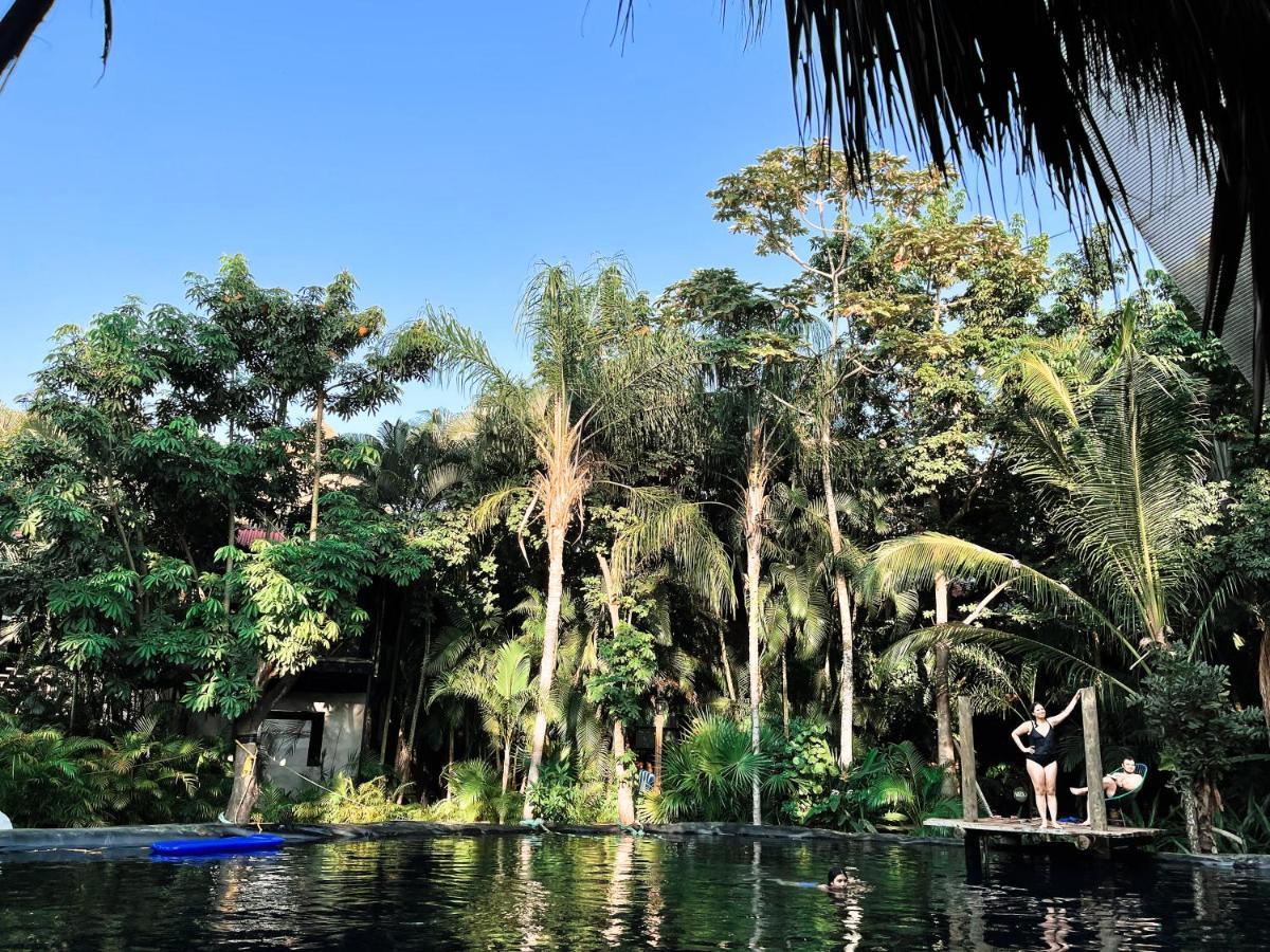 Jardin Secreto Centro Holistico Villa Acapulco Luaran gambar
