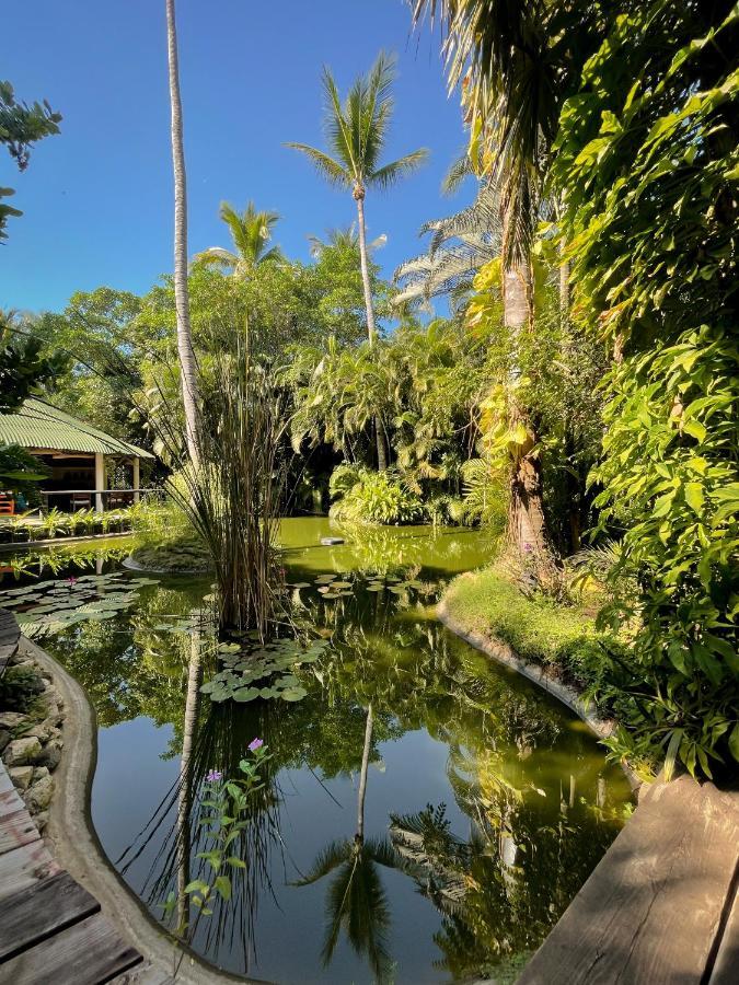 Jardin Secreto Centro Holistico Villa Acapulco Luaran gambar