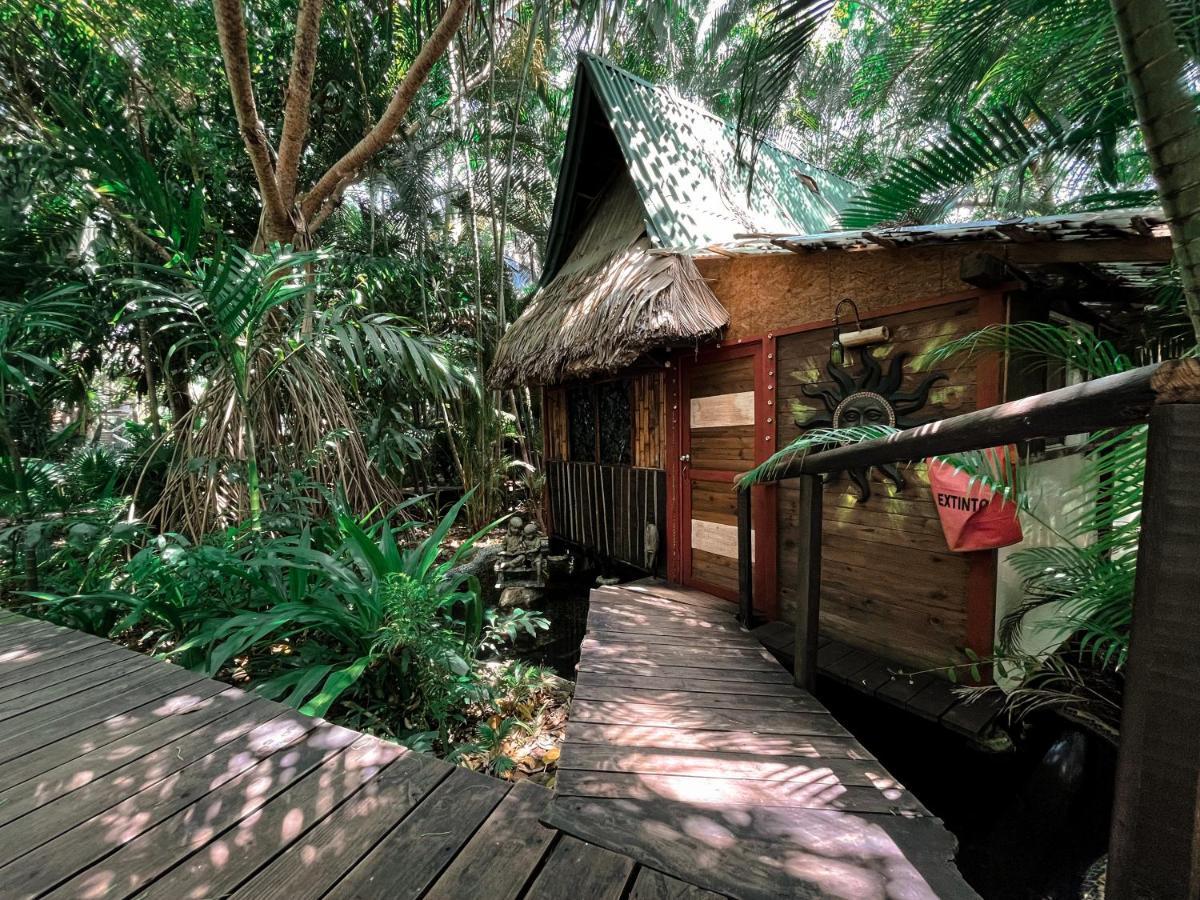Jardin Secreto Centro Holistico Villa Acapulco Luaran gambar