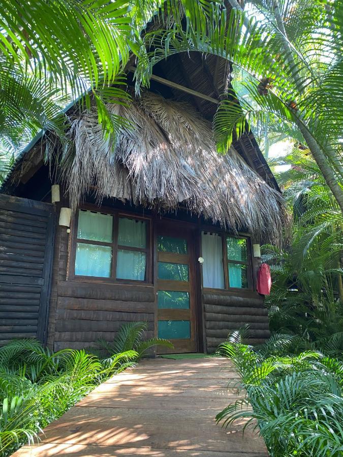 Jardin Secreto Centro Holistico Villa Acapulco Luaran gambar